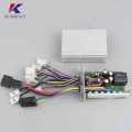 Electric Bike Brush Controller 24V/36V/48V 350W/500W/800W/1000W Dual Controller E bike Scooter Tricycle DC Controller|Electric B