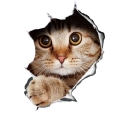 3d Cat Car Sticker Automobiles Motorcycles Exterior Accessories Vinyl Decals For Bmw Audi Ford Lada Vw - Car Stickers - Officema