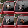3d Car Stickers Animal Crackle Stickers Transparent Car Stickers And Decals Waterproof Pvc For Auto Windshield Stickers - Car St