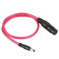 Electric Bike Battery Charger Adapter Microphone XLR Female Port to DC 2.1 Plug 59CM Connector Cable for eBike Bicycle|Electric