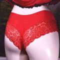 Lace Sexy Underwear Men Briefs Hombre Transparent Ultra Thin Panties Penis Pouch Sissy Mens Comfortable Floral Lingerie Cueca|Br