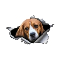 S50011# 13CM/17CM Personality PVC Decal Beagle Car Sticker on Motorcycle Laptop Decorative Accessories|Car Stickers| - Officem