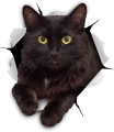 Black Cat Torn Metal Car Sticker Waterproof Personalized Decal Laptop Truck Motorcycle Auto Accessories Pvc,14cm*13cm - Car Stic