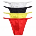 Sexy Designed Low Rise Bikini Briefs Men Underwear Translucent Penis Pouch Underwear Gay Sleepwear Small Briefs Contton New Hot