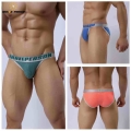 BRAVE PERSON Men Nylon Briefs Brand Male Underwear Men's Briefs Sexy Gay Underpants Low Waist High Fork Bikini Briefs for Ma
