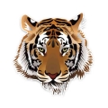 Hot Sell Personality Tiger Head Car Sticker Accessories Vinyl PVC 14cm*14cm Motorcycle Waterproof Reflective Car Window Decal|C