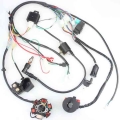 Full Complete Electrics Wiring Harness Cdi Stator 6 Coil For Motorcycle Atv Quad Pit Bike Buggy Go Kart 50 70 90 110 125cc - Mot