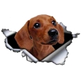 13cm X 9cm 3d Tan Dachshund Animal Car Sticker Torn Metal Decal Reflective Stickers Waterproof Car Styling Pet Dog Decals - Car