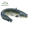 Earlfamily 13cm X 7.1cm For Cat Fish Camper Truck Decal Vinyl Car Stickers Waterproof Occlusion Scratch Decoration - Car Sticker