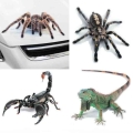 3d Car Sticker Animals Bumper Spider Gecko Scorpions Car-styling Abarth Vinyl Decal Sticker Cars Auto Motorcycle Accessories - C