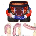 Men Physiological Boxer Magnet Underwear Health Care Function Mesh Breathable Magnet Therapy Shorts Men's Boxers Energy Shor