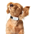 Small Pet Gps Tracker Tk911 For Dogs Cat Tracking Device Locator With Pet Collar History Route Playback Waterproof High Accuracy