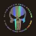 Punisher Skull Sticker Car Body Sticker 3d Car Cartoon Vinyl Sticker Reflective Car Decal Wholesale Car Styling Accessories - Ca